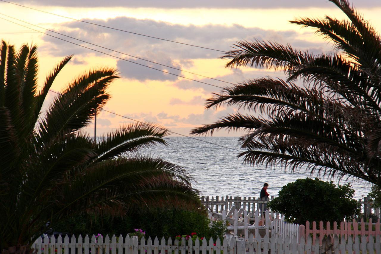 Afribode'S Adenium Beachfront Apartment Cape Town Bagian luar foto